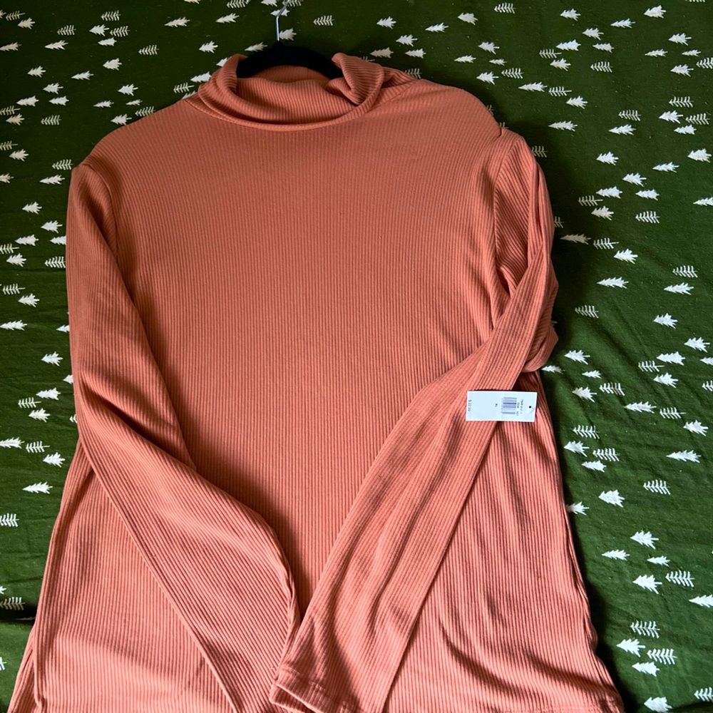 Fitted Plush Rib-Knit Turtleneck for Women